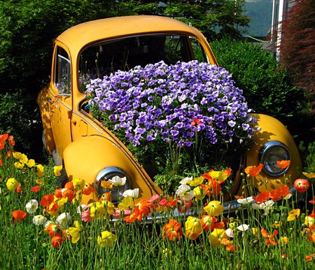 inspiration - garden - gardening - flowers - landscaping - Volkswagen Beetle garden planter - flower bed pinterest2